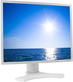 Б/У Монитор 19" NEC MultiSync LCD1990FX - Class A