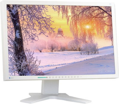 Б/У Монитор 22" Eizo FlexScan S2202W - Class B