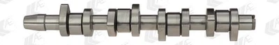 Распределительный вал VAG 1.9/2.0TDI BLS/BMM/BRS чугунный (выр-во AE) AE (CAM904)