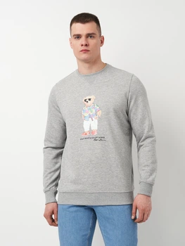 Свитшот мужской Polo Ralph Lauren 11422.4 S Серый с принтом (ROZ6501093728)