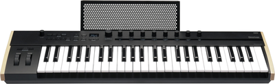 MIDI-клавіатура Korg Keystage 49 (100027882000)