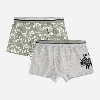 Набір дитячих трусів-боксерів 2 шт для хлопчика Coccodrillo Panties WC5409504PAN-022 104 см Різнокольоровий (5904986500651)
