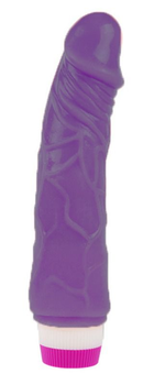Вибратор Baile Classic Jelly Vibe цвет фиолетовый (06947017000000000)