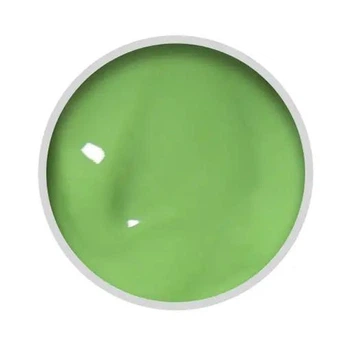 Гель паста D.I.S Nails Gel Paste 06 салатова 5 гр