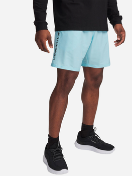 Спортивные шорты мужские Ua Tech Woven Wordmark Short