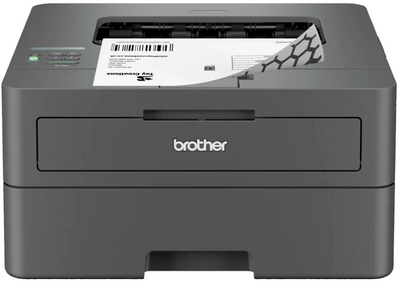 Принтер Brother HLL2442DWYJ1