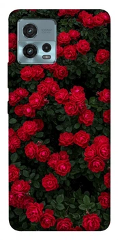 TPU чохол Demsky Eternal roses для Motorola Moto G72