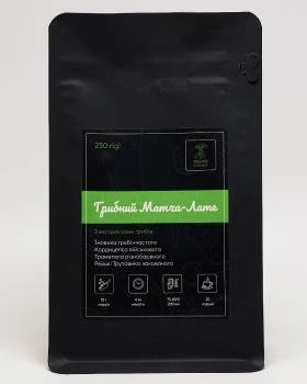 Грибной Матча-латте Мудрый Мухомор 250 г (MatchaEXmushroom250g)