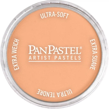 Пастель PanPastel 740.7 Burnt Sienna Light (8027407-1)