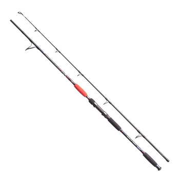 Вудилище JAXON Catfish E Spin/troll 2.40m to 160g