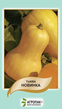 Семена тыквы Новинка, 15 шт.