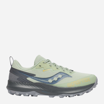 Жіночі кросівки для бігу з Gore-Tex Peregrine 14 Gtx