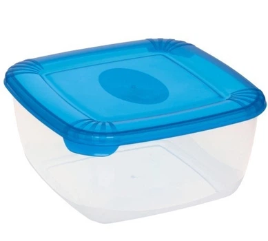 Ємність для морозилки Plast Team POLAR 2.50 л з синьою кришкою (TEA-1677)