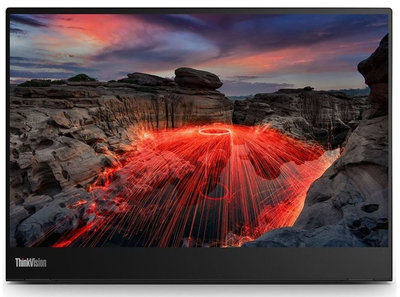 Монитор Lenovo M14t Gen2 (63FDUAT6WL)