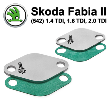 Заглушка клапана EGR для Skoda Fabia (II) (542) 1.4 TDI, 1.6 TDI, 2.0 TDI