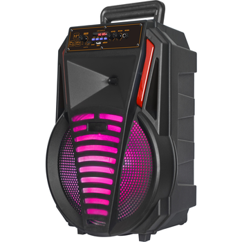 Автономна акустична система BIG12PREDATOR usb/mp3/fm/bt + шнуровий мікрофон