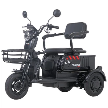 Электроскутер трехколесный MAXXTER ANT, 500 Вт, черный