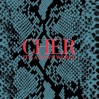 Виниловая пластинка Cher - It's A Man's World