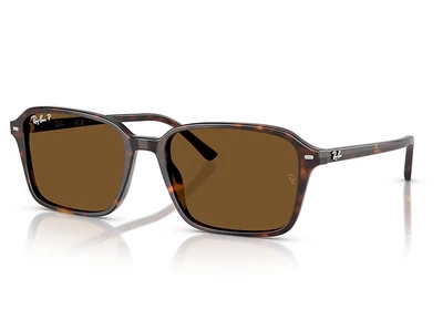 Солнцезащитные очки Ray-Ban Raimond RB 2231 902/57 58