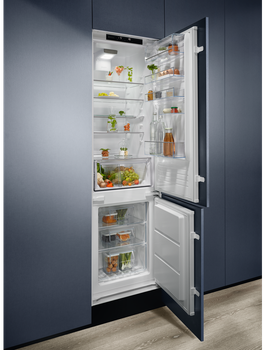 Холодильник ELECTROLUX RNT6TE19S