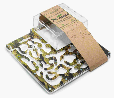 Акриловий формікарій «Maximum» Ant-Temple в кольорі мох (25х25см)