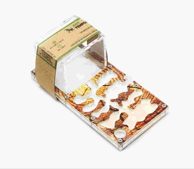 Акриловый формикарий «Micro» Ant-Temple в цвете красное дерево (18х9см)