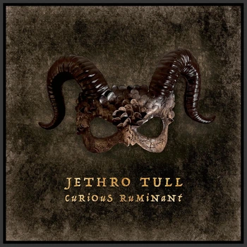 Виниловая пластинка Jethro Tull Curious Ruminant