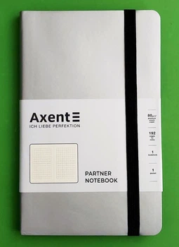 Книга записна Axent Partner Soft (8206-34-A), A5, 125x195 мм, 96 аркушів, клітинка, гнучка обкладинка, срібляста