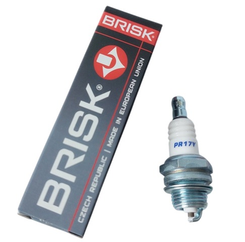 Свеча зажигания Brisk PR17Y Garden