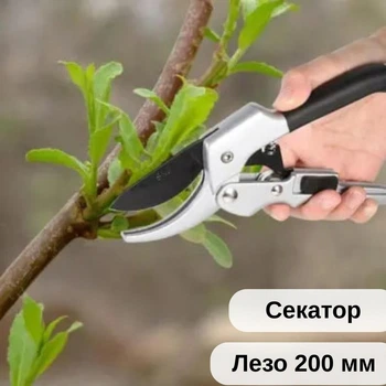 Секатор сучкоріз садовий Avangger AG-6006 ножниці для віток кущів троянд квітів винограду (MA-256)