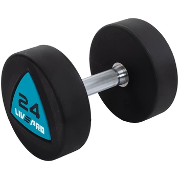 Гантели цельные профессиональные с полиуретановым покрытием LiveUp LP8002-24 2шт по 24кг