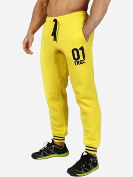 Спортивні штани чоловічі Pants 036