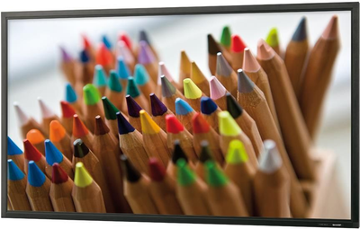 Монітор sharp PN-E702