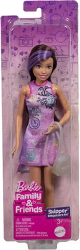 Лялька Barbie Family & Friends Skipper JBF41 (0194735258512)