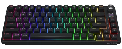 Клавіатура HATOR Icefall PRO Wireless Black (HTK450UA) Б/в