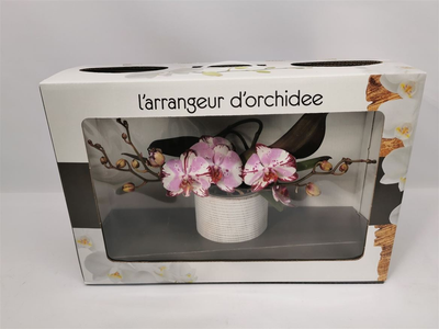 Орхидея L'arrangeur D'orchidee Special (бело-розовая)