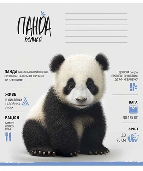 Зошит шкільний 12 арк. клітинка Школярик