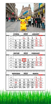 Календарь настенный квартальный на 2025 год, на три пружины, Apriori, Пикачу, Покемон, Аниме, Подарок ребенку, Pokemon 29,7х61см , 6 вид