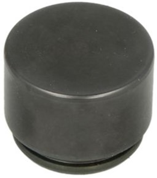 Поршень тормозного суппорта CQ (CQ71362922)