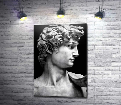 Картина Микеланджело Буонарроти Профиль скульптуры Давида (David) 92x130 см Модуль №1 (000158)