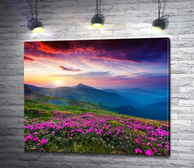 Картина Розовые цветы укрыли горный склон 60x50 см Модуль №1 (002594)