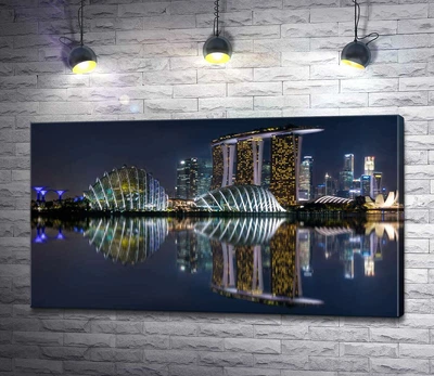 Картина Ночной вид на сады возле Залива (Gardens by the Bay) в Сингапуре 130x73 см Модуль №1 (001364)
