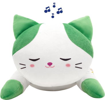 Pin Cat AHHA17 Pin Cat AHHA17