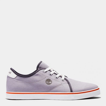 Мужские кеды низкие Timberland TB0A5U3H050 41 (7.5US) 25.5 см Серые (196248569932)