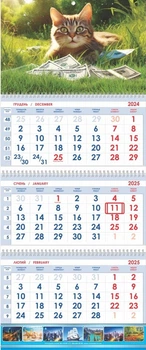 Квартальний календар 2025 Кот 01 2922600802236