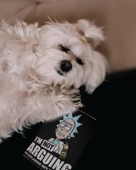 Фляга для алкоголя из нержавеющей стали Rick and Morty Рік і Морті "I`m not ARGUING" - 30 мл
