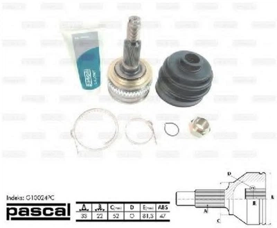 Комплект ШРУС Pascal (G10024PC)