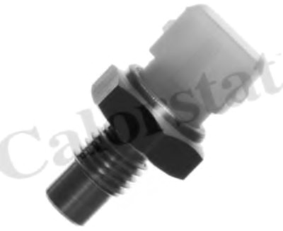 Датчик температуры VERNET (WS2584)
