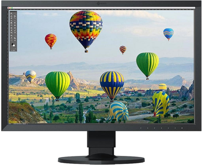 Монитор 24.1" Eizo ColorEdge CS2410-BK (CS2410-BK)