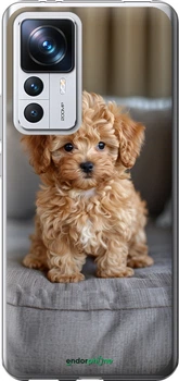 Чохол на Xiaomi 12T Pro Mini-maltipoo "6158u-2869-70447"